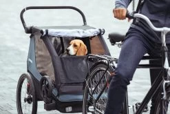 Thule Courier 2-Seat Bike Trailer -Baseball Promotion Store Shop Thule Courier 2 Seat Bike Trailer Edmonton Canada 3