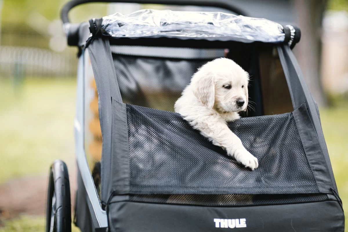 Thule Courier Dog Trailer Kit 6 Thule Courier Dog Trailer Kit - Image 4